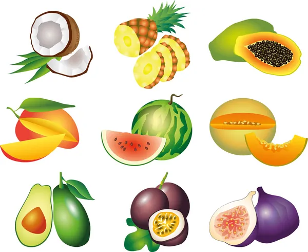 Conjunto fotorealista de frutas exóticas — Vector de stock