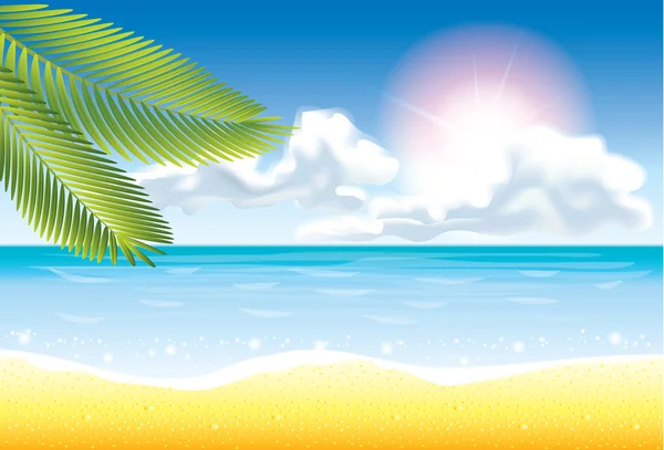 Ilustración vectorial de la playa tropical — Vector de stock
