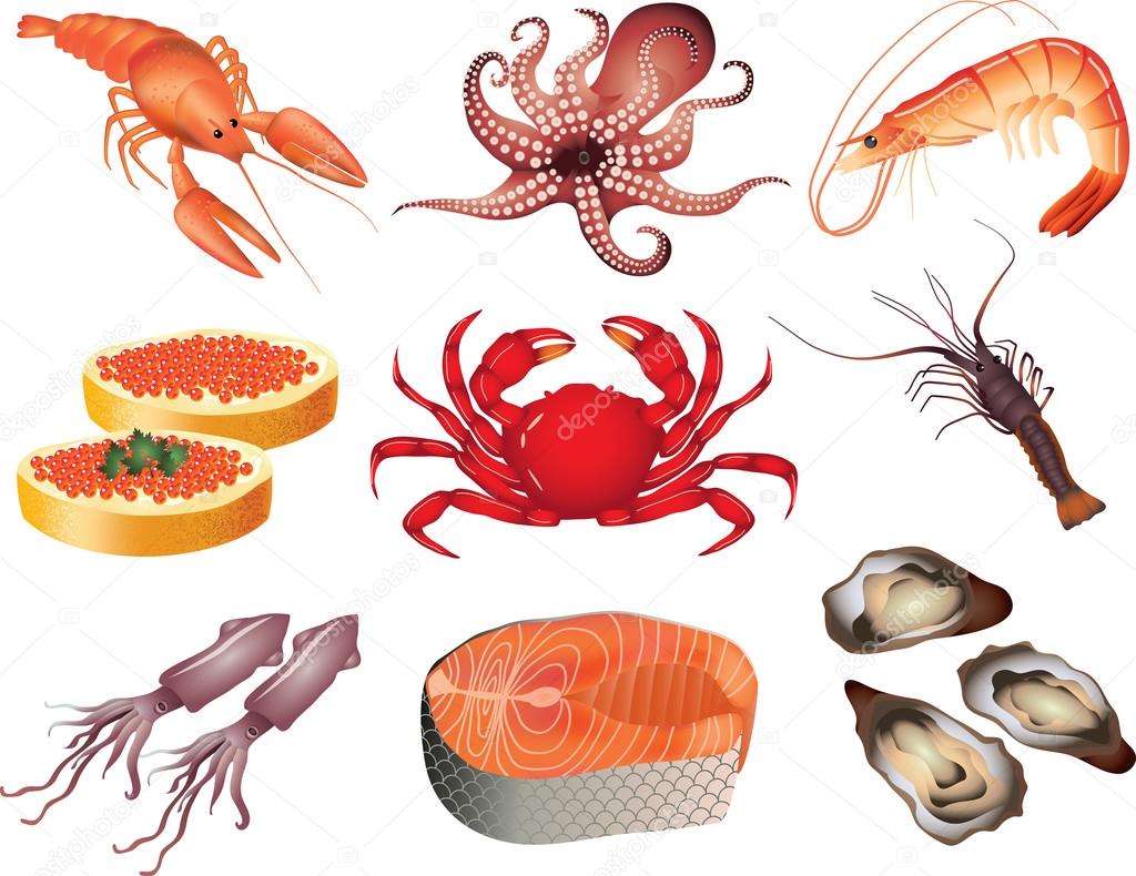 Seafood photo-realistic set