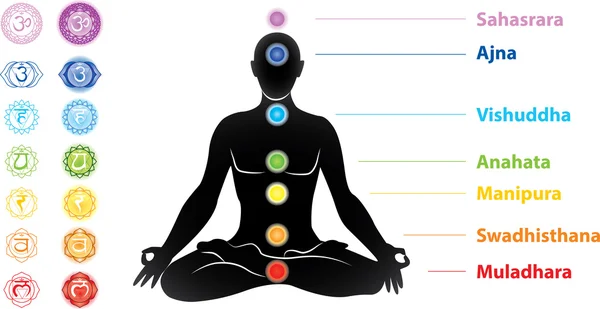 Símbolos de sete chakras e silhueta de homem — Vetor de Stock