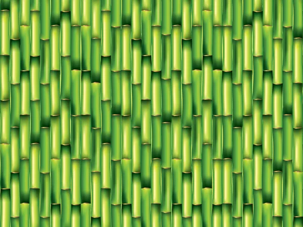 Bambu verde fundo vetor ilustração — Vetor de Stock