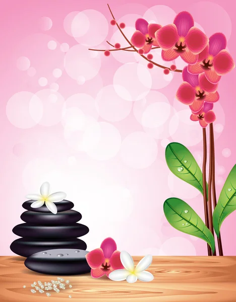 Wellness-Steine und Blumen auf Orchideen-Hintergrund — Stockvektor