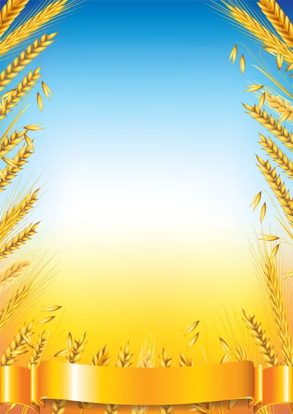 Wheat frame on field vector background — Stock Vector