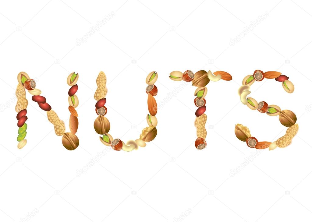 Nuts word from seeds vector