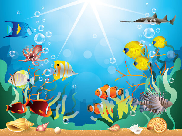 Underwater world vector illustration