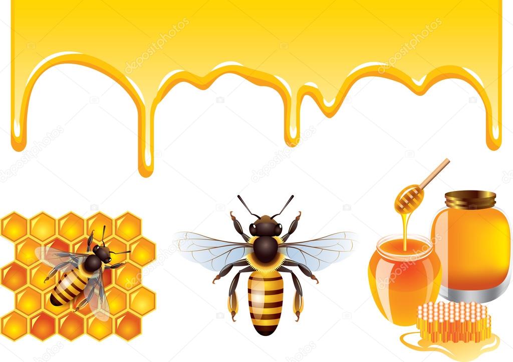 Honey, bee, honeycells vector set