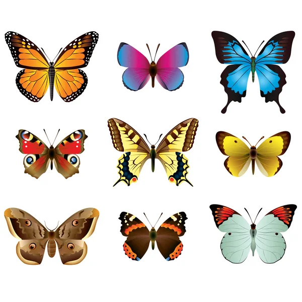 Schmetterlinge fotorealistische Vektor-Set — Stockvektor