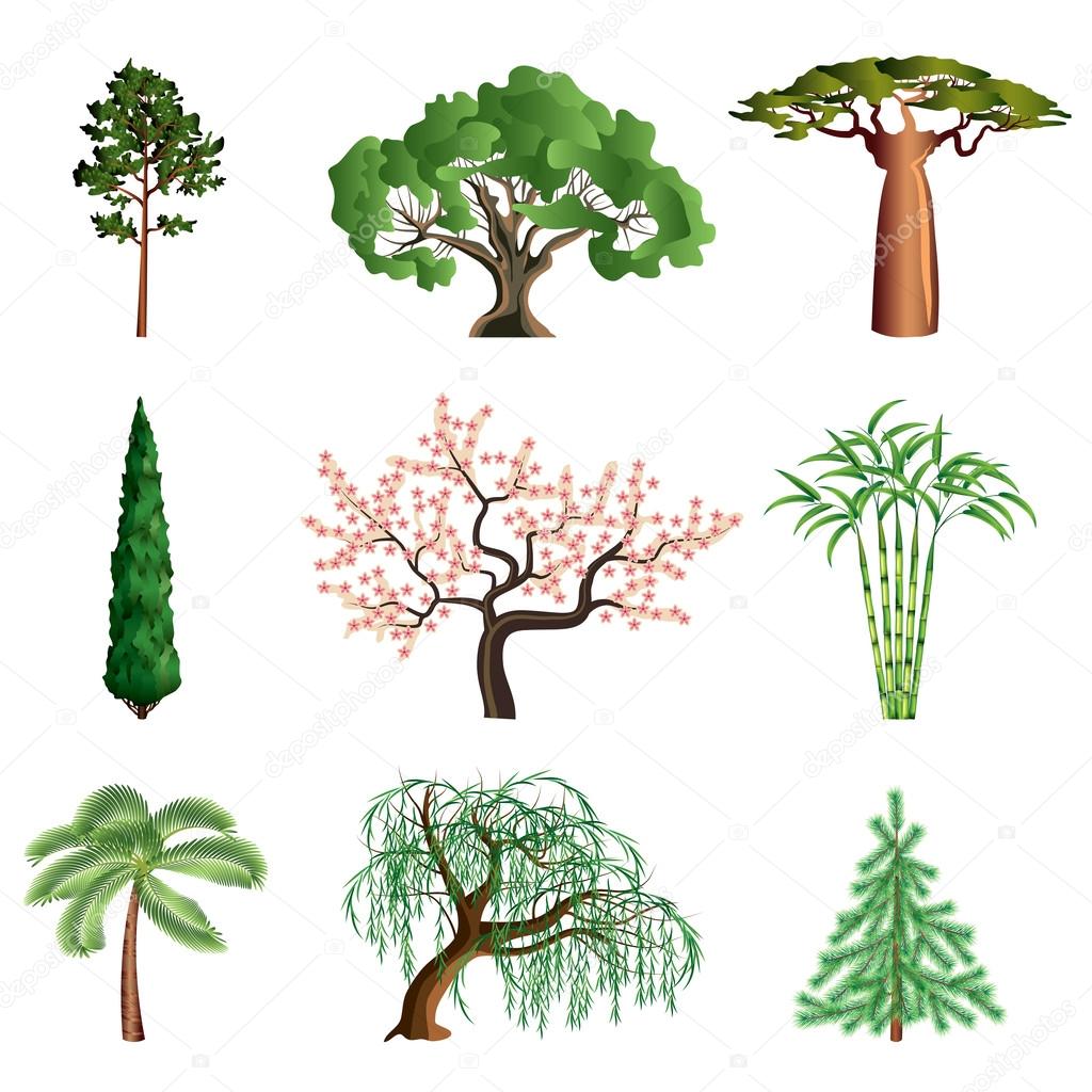 Trees isolated on white vector set