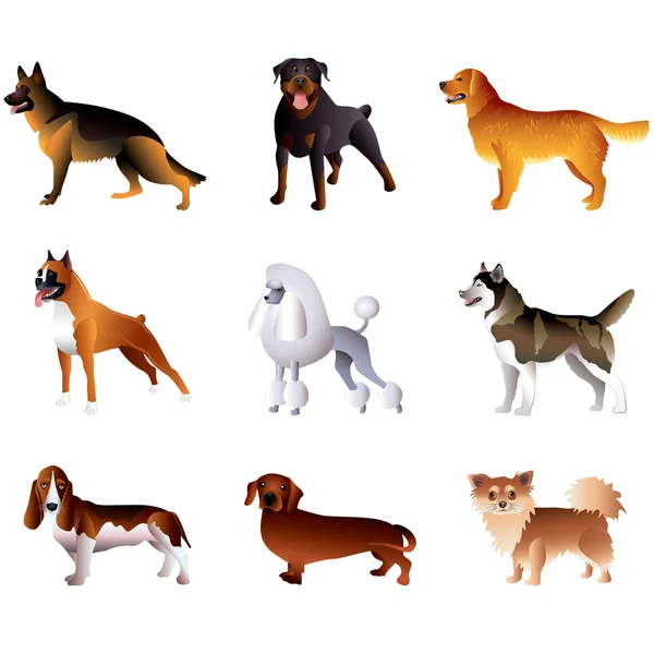 Perros aislados en juego de vectores blancos — Vector de stock