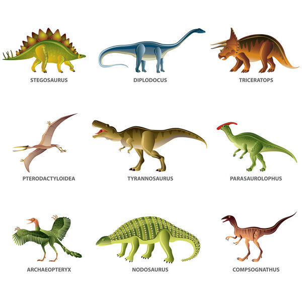Dinosaurs isolated on white vector set