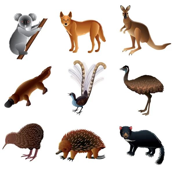 Animales australianos vector conjunto — Vector de stock