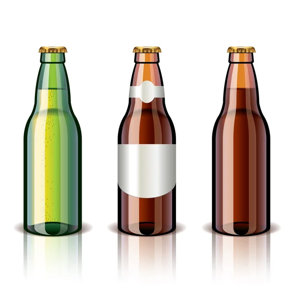 Botella de cerveza aislada en blanco — Vector de stock