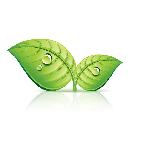 Verde hojas ecología icono vector ilustración — Vector de stock