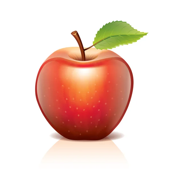 Manzana roja aislada sobre blanco — Vector de stock