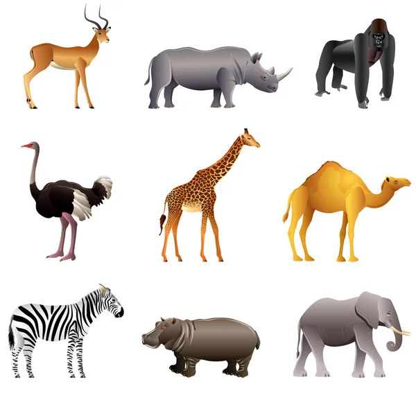 Conjunto vector animales africanos — Vector de stock