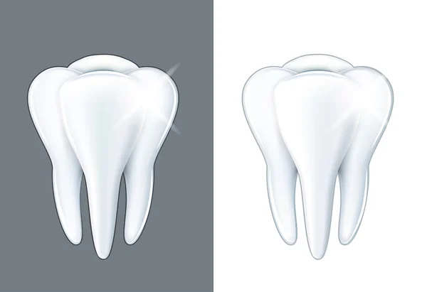 Блискучий зуб ізольований на білому векторі — стоковий вектор
