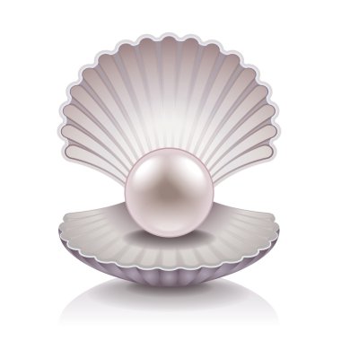 Shell with pearl vector illustration clipart