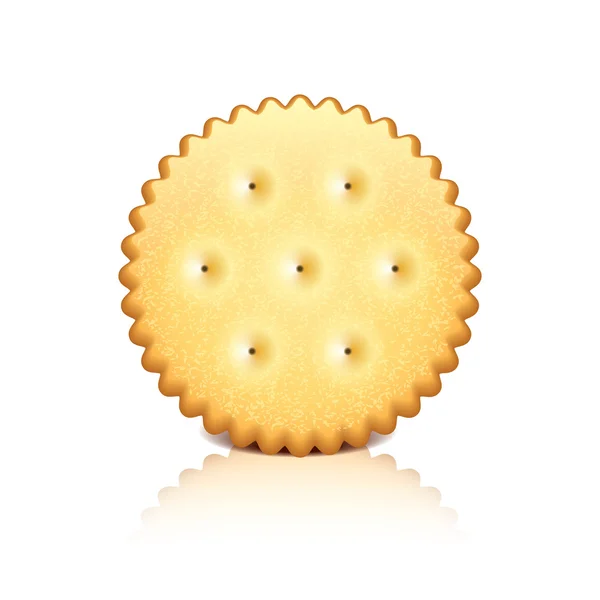 Cracker cookie vector illustration — Stock Vector