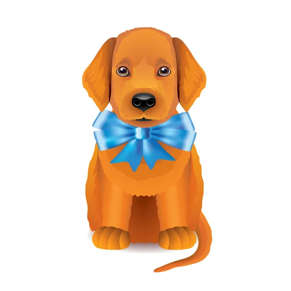 Red puppy with blue bow vector illustration — Stock Vector