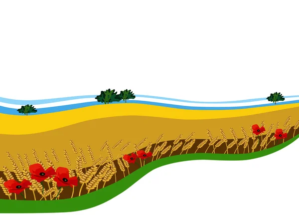 Contexte (bannière) avec champ de blé et coquelicots — Image vectorielle