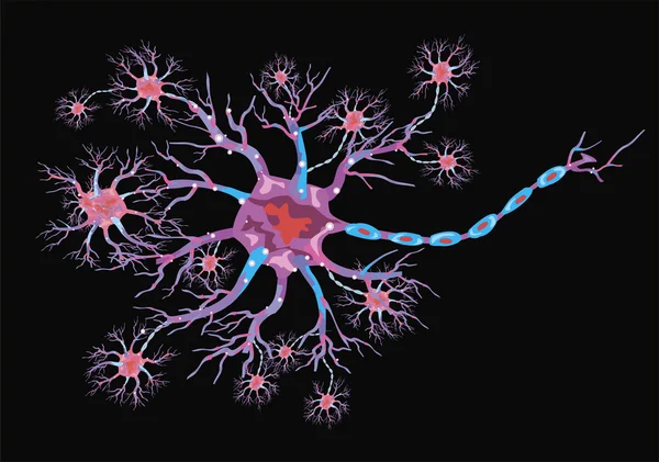 Illustrazione schematica del neurone su sfondo nero — Vettoriale Stock