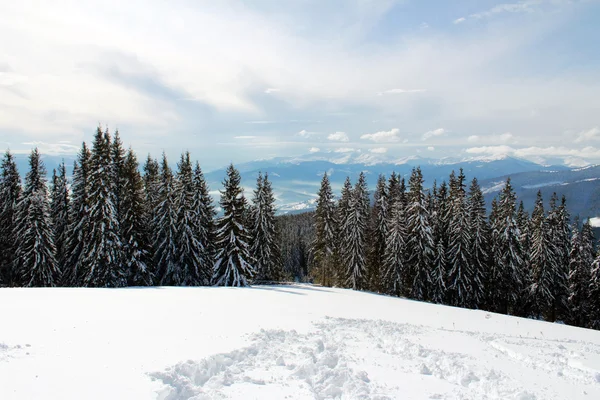 Güzel kış dağ manzarası — Stok fotoğraf