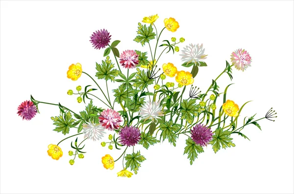 Beautiful composition of wild flowers — Stock Vector