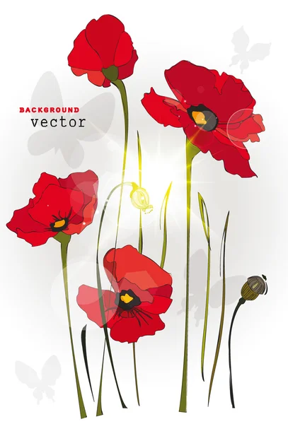 Fleurs de pavot rouges et papillons sur fond blanc. illustration vectorielle — Image vectorielle