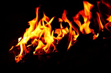 alevler arka plan, ateşi, kamp ateşi