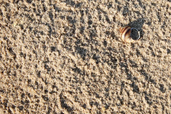 Shell Kum plajındaki