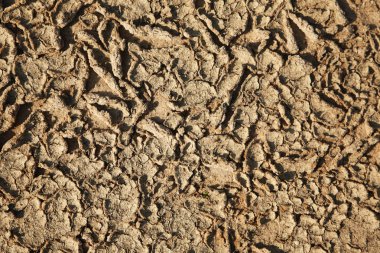 kırık toprak kurumuş