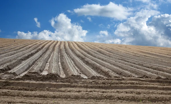 Plowed field in spring time — Stock Photo, Image