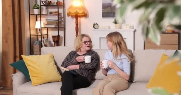 Abuela optimista con nieta sentada en un sofá con tazas de té — Vídeo de stock