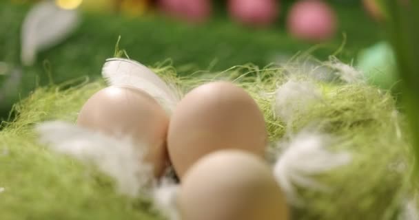 Paskalya yumurtalarını yakın plan. Paskalya dekorasyonu konsepti. — Stok video