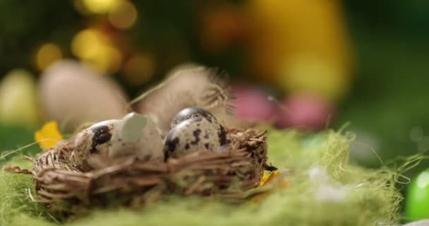 Primo piano delle uova di Pasqua. Concetto di decorazione Pasqua. — Video Stock