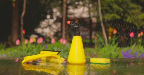 Tools for cleaning windows against a background of a spring garden. Housework concept — Stock video