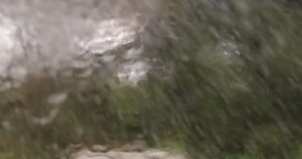 Druppels Glijden Ruiten Regendruppels Glas — Stockvideo