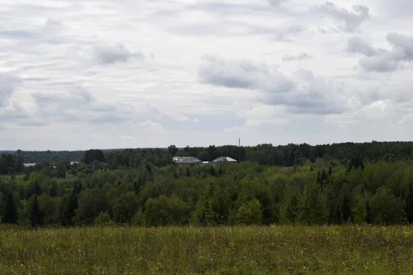 Blick Auf Das Dorf Ein Feld Mit Gras — Stockfoto