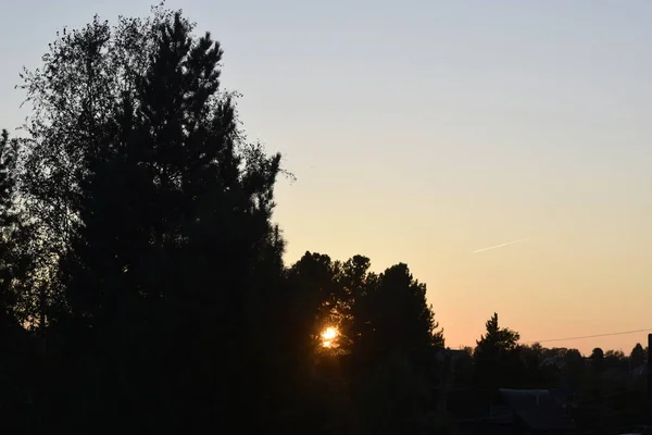 Sonnenaufgang Frühsommerlicher Morgen — Stockfoto