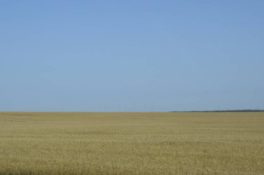 Arazi ve mavi gökyüzü, manzara