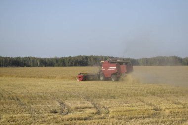 Buğday tarlası temizliği, kırsal makineler