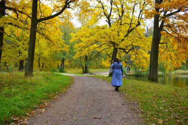  Bir kadın sonbahar parkında yürüyor.