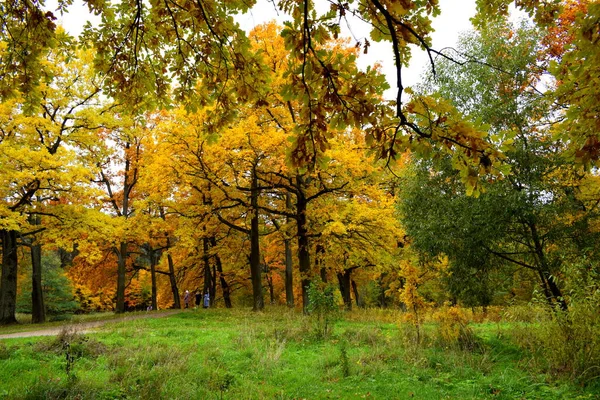 Jesień Parku — Zdjęcie stockowe