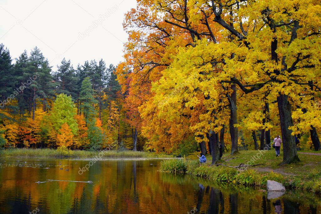 pond in the autumn park