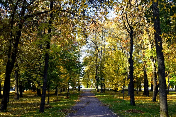 Golden Autumn Park — Stock Photo, Image