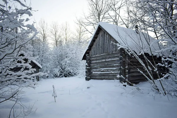 Altes Haus Grünen Winter — Stockfoto