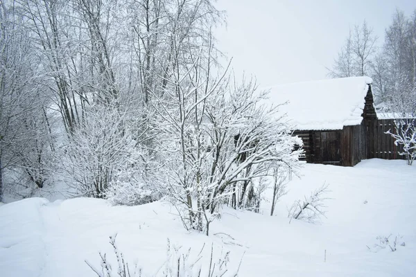 Kırsalda Kış Günü — Stok fotoğraf