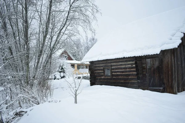 Kırsalda kış günü