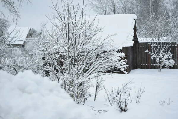 Kırsalda kış günü