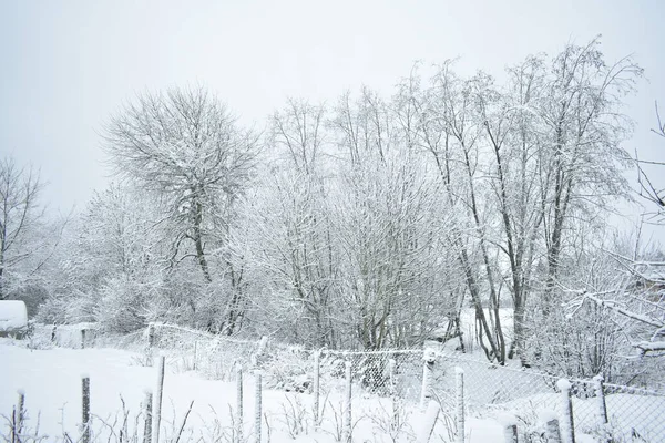 Dia Inverno Campo — Fotografia de Stock